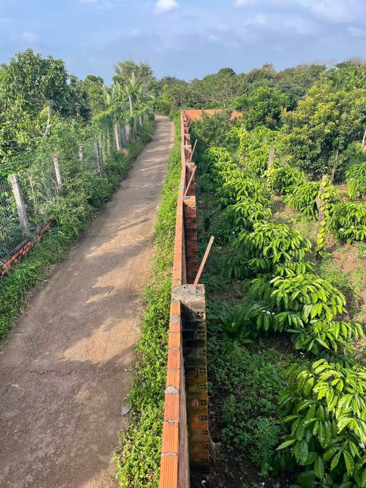 Siêu phẩm đất nền tại Thành phố Buôn Ma Thuột, Đắk Lắk, đang chờ chủ nhân mới