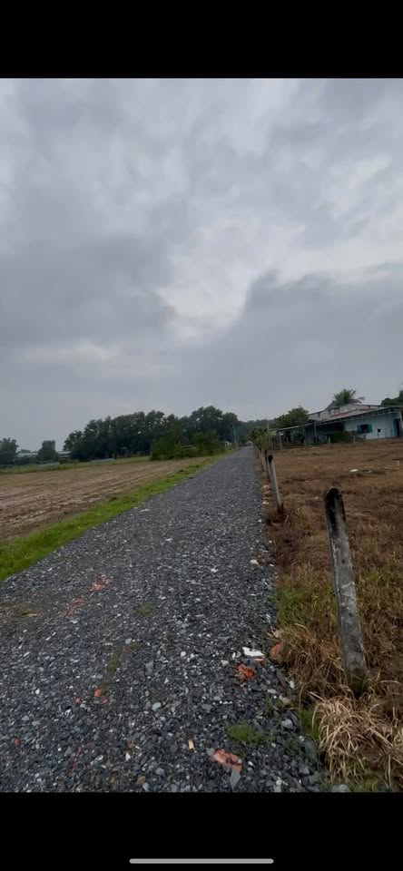 Bán đất Gò Dầu, 5x35m, thổ cư, sổ hồng sẵn sàng, giá chỉ 499 triệu