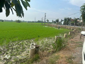 Bán đất mặt tiền đường nhựa Lương Văn Ban, Nhơn Thạnh Trung, Long An