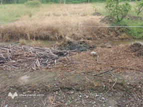 Bán gấp đất 2 mặt tiền đường bê tông, Hòa Định, Chợ Gạo, Tiền Giang