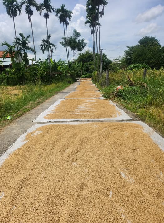 Bán đất vàng 138m2 tại Nhị Dinh, Điện Phước, cơ hội đầu tư sinh lời khủng