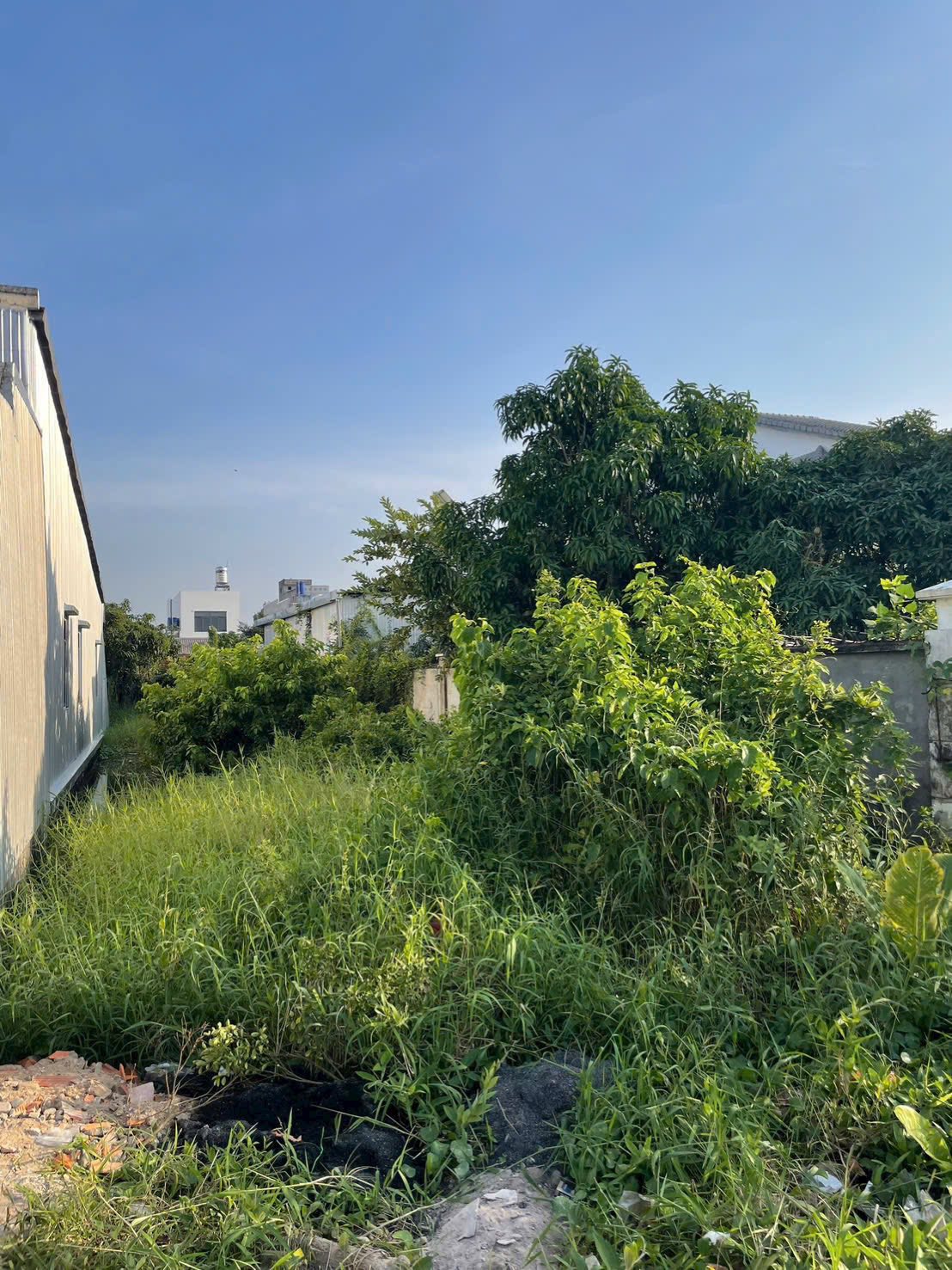 Đất thổ cư hẻm 124 Huỳnh Tấn Phát, cách mặt tiền 30m - Đầu tư sinh lời ngay