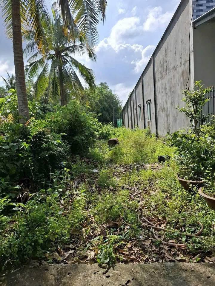 Bán nền thổ cư đường Nguyễn Thị Minh Khai, phường Vị Tân, Cần Thơ