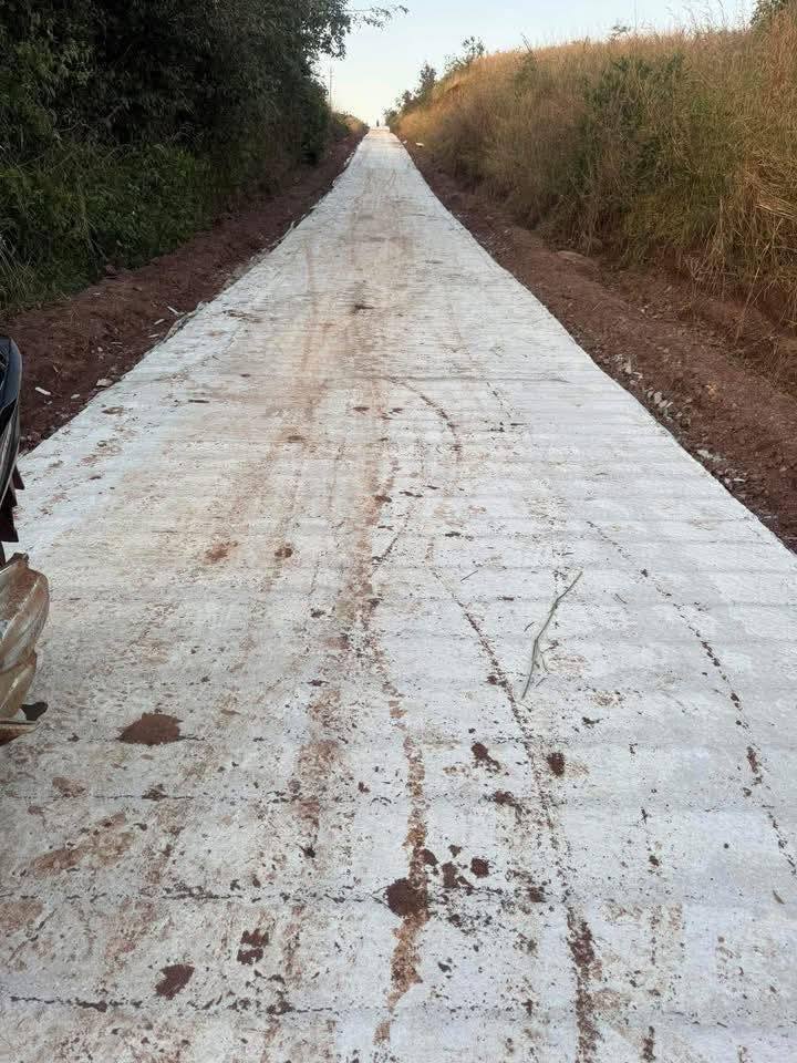 Đất Cư Né Krông Búk 4 ha cà phê sầu riêng, mặt tiền 150m, giá mềm như bún