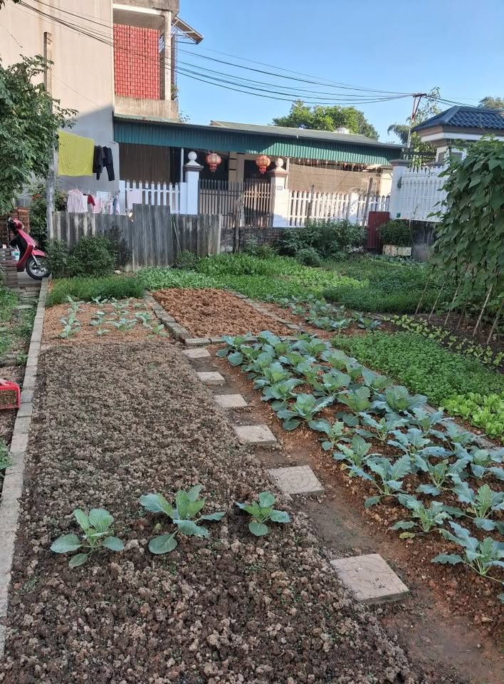 Chào mừng quý vị đến với mảnh đất vàng tại đường Phùng Khắc Khoan, Yên Bái