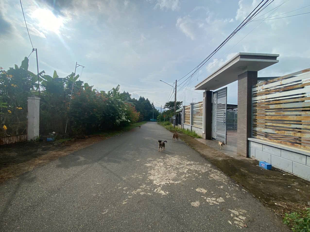 Bán đất 516m2 mặt tiền 10m, sổ đỏ thổ cư 60m2 tại Hòa Long, Bà Rịa - Vũng Tàu