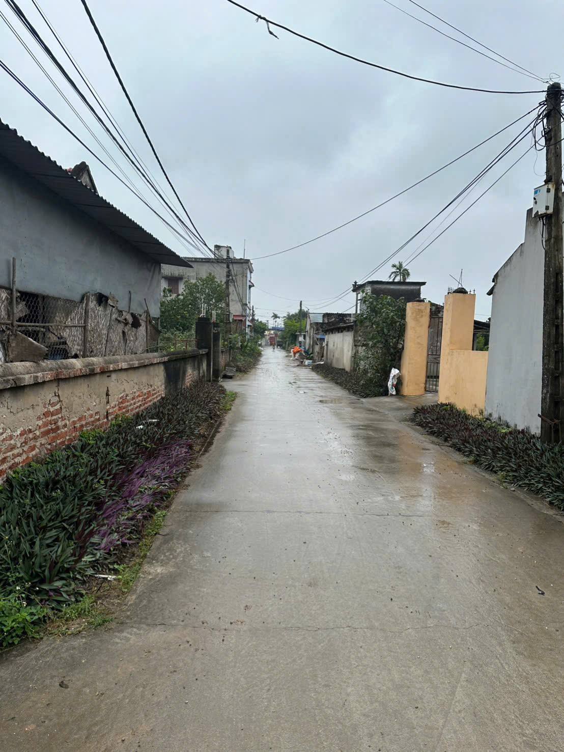 Bán lô đất đẹp F0 tại Lý Nhân, Huyện Kim Bảng, Tỉnh Hà Nam