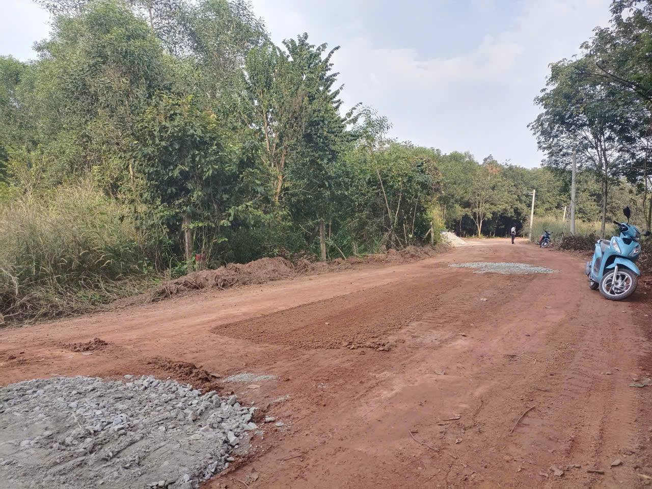 Đất nền Long Nguyên, Bến Cát giá thơm lừng, đầu tư phát lộc