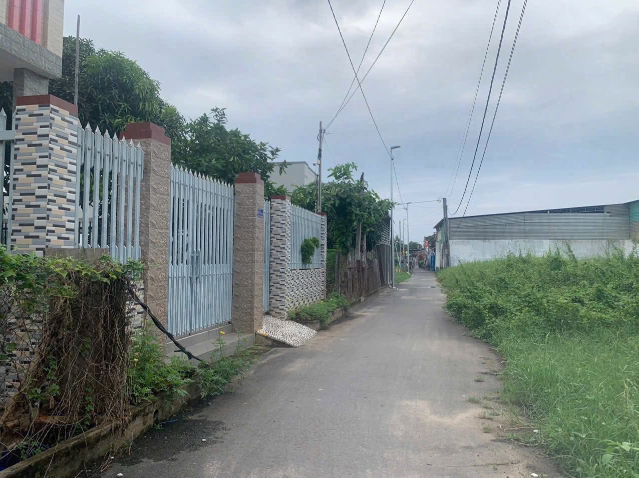 Lạc bước giữa lòng Long Hải, Bà Rịa - Vũng Tàu, nơi thiên nhiên giao hòa cùng cuộc sống