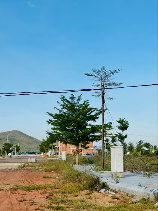 Đất vàng Bình Định 140m2, mặt tiền 6m, đường 22m