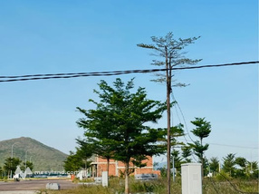 Đất vàng Bình Định 140m2, mặt tiền 6m, đường 22m