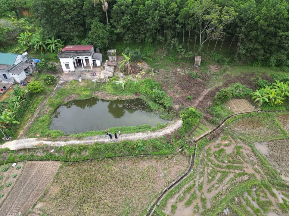 Đất Vĩnh Phúc hơn 1000m² view đồng, nghỉ dưỡng hết ý