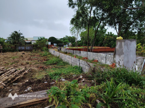 Bán gấp đất 312m2 Đào Cử, mặt tiền 11m, đối diện trung tâm văn hóa thể thao Cần Giờ 0968017883