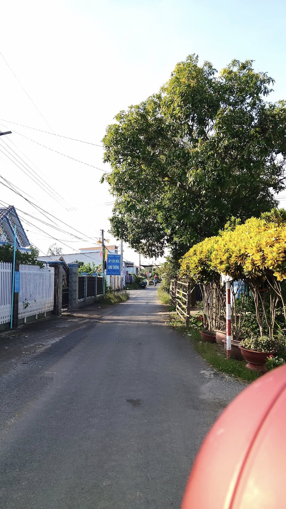 Bán đất Long Thượng, Chợ Mới - 5x38m, thổ cư sẵn, giá hời