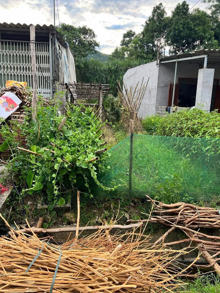 Chào mừng quý vị đến với mảnh đất &#34;vàng&#34; tọa lạc tại thôn Khe Năm, xã Hưng Khánh, huyện Trấn Yên