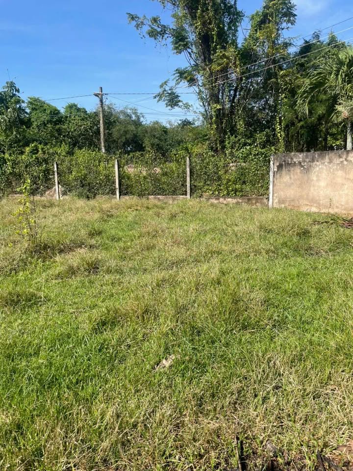 Bán đất vị trí đẹp, sổ đỏ rõ ràng tại Trảng Bàng, Tây Ninh