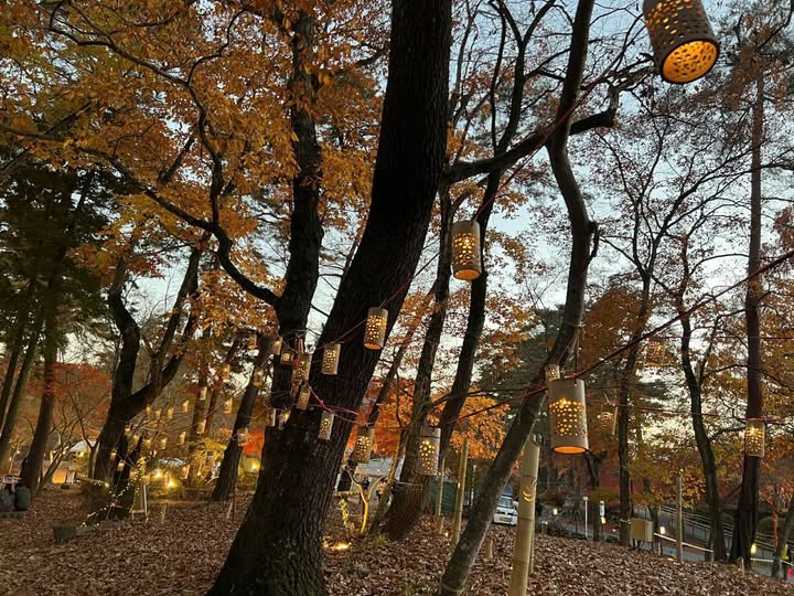 Dãy trọ Thái Thị Bôi - Dòng tiền ổn định, kiệt ô tô