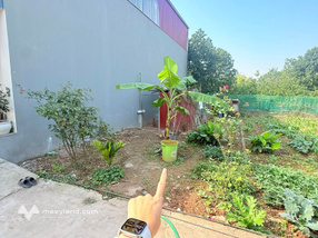 Siêu phẩm đất làng nghề Hát Môn cũ với diện tích 65m²