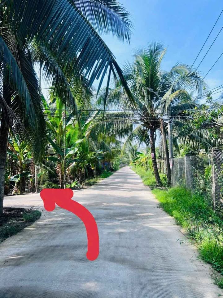 Bán đất 497.1m2 mặt tiền 3.5m, 790 triệu tại Nhơn Thạnh, Bến Tre