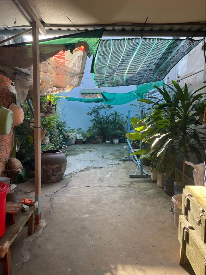 Cần bán nhà cấp 4 có diện tích 3m x 21m, nở hậu 4m9, với diện tích thổ cư 69.9m2