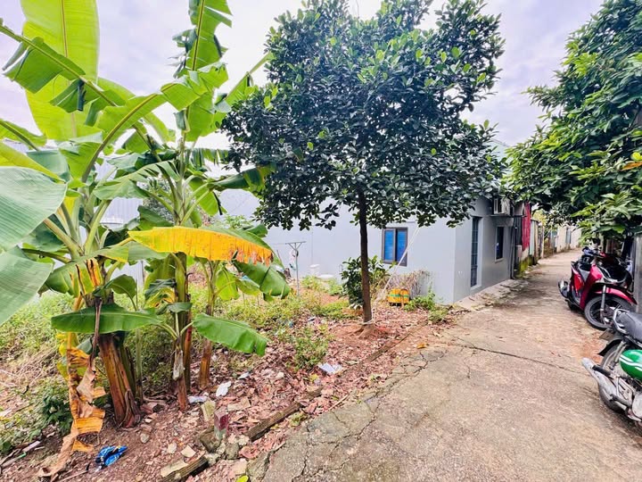 Đất vàng Cẩm Lệ - cơ hội an cư đầu tư sinh lời