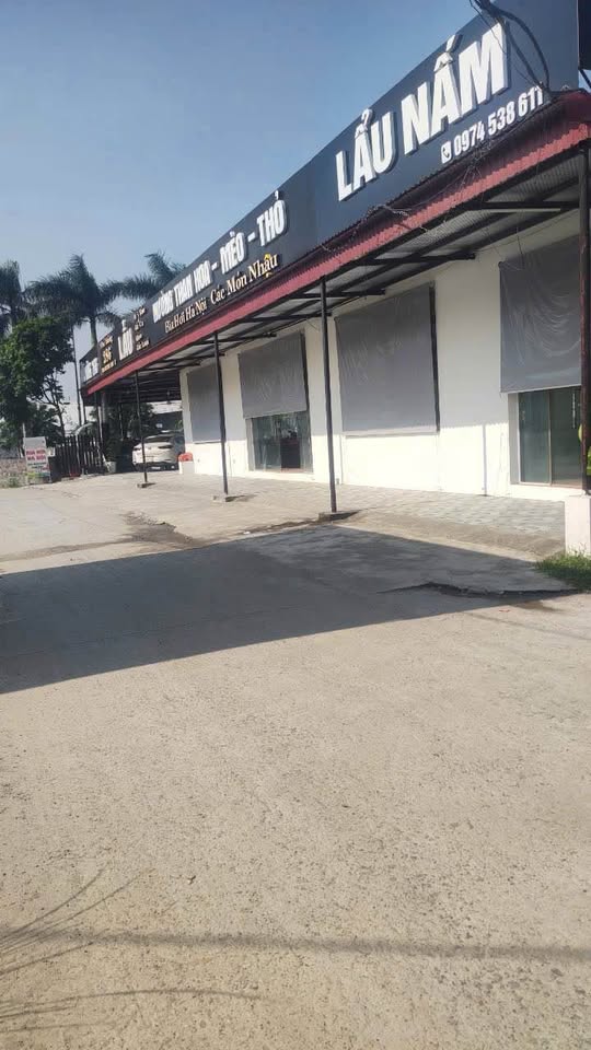 Siêu phẩm đất nền hạ tầng hoàn thiện tại Ninh Nội, Bình Lục, Hà Nam đang chờ chủ nhân xứng tầm