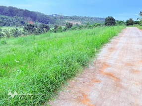 Đất thổ cư đắc địa, giá hấp dẫn, cơ hội đầu tư vàng