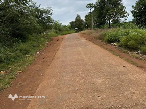 Đất phù hợp để trồng khoai lang, cà phê, sầu riêng, hồ tiêu hoặc phát triển các mô hình trang trại tổng hợp