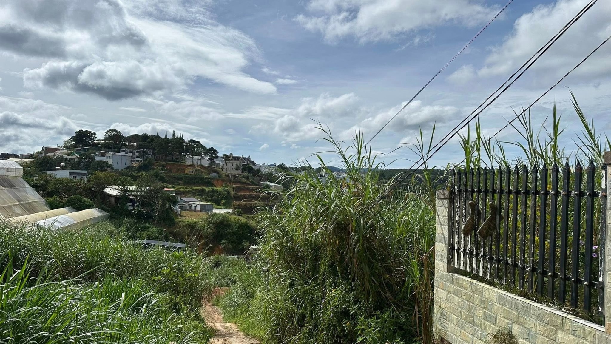 Đất Đà Lạt giá rẻ nhất từ trước tới nay, chỉ 680 triệu/ lô