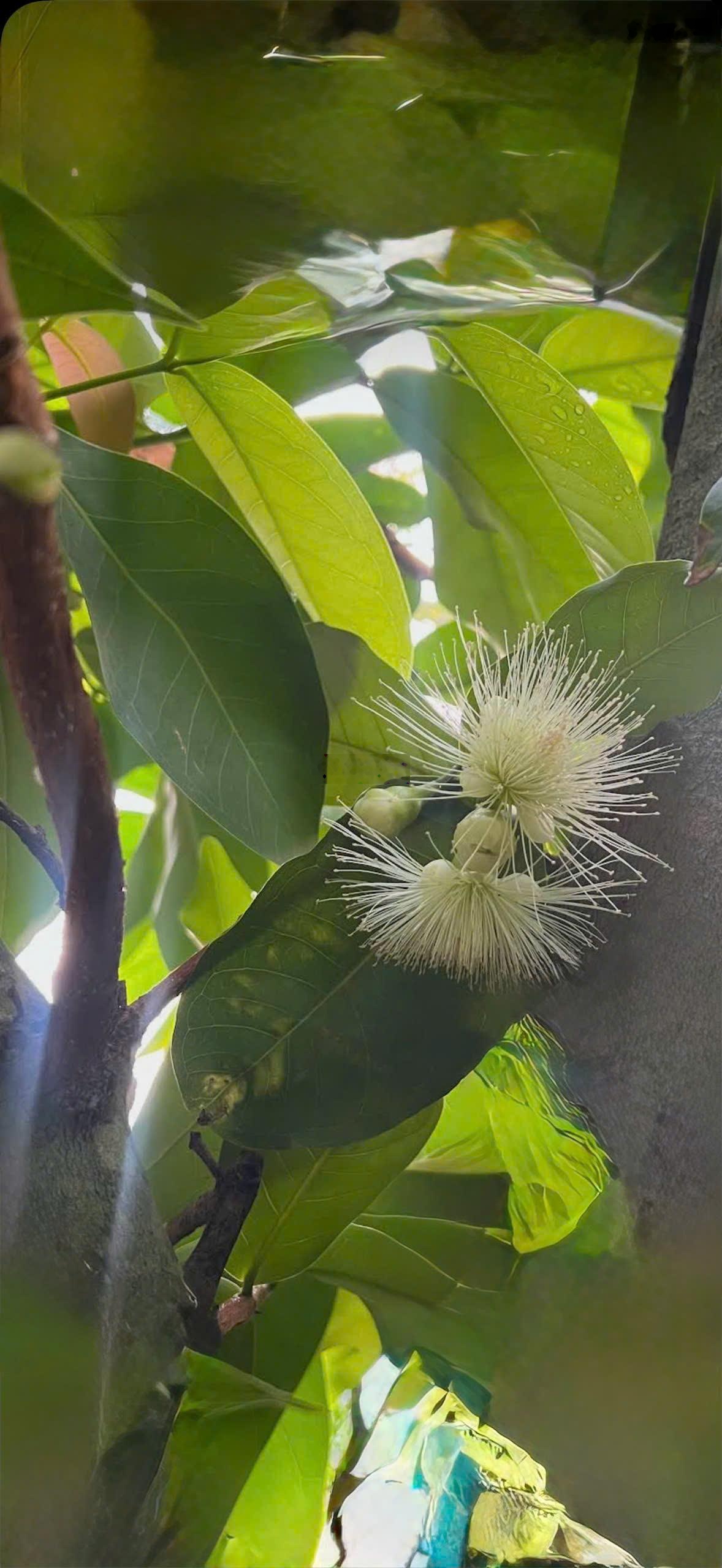 Biệt thự full nội thất Khu chuyên gia Cho thuê tốt Sổ hồng 9 tỷ