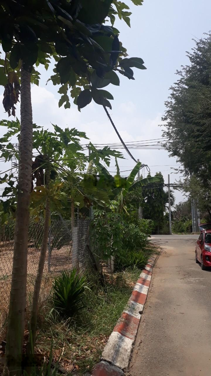 Chính chủ bán lô đất góc 2 mặt tiền đường Phạm Thị Tánh (đường ấp 6 Hưng Long cũ), giá 9,5 tỷ