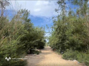 Đất biển Nam Hội An 29.726m2 gồm đất ở và đất thương mại dịch vụ, giá 3.3tr/m2, sẵn sổ