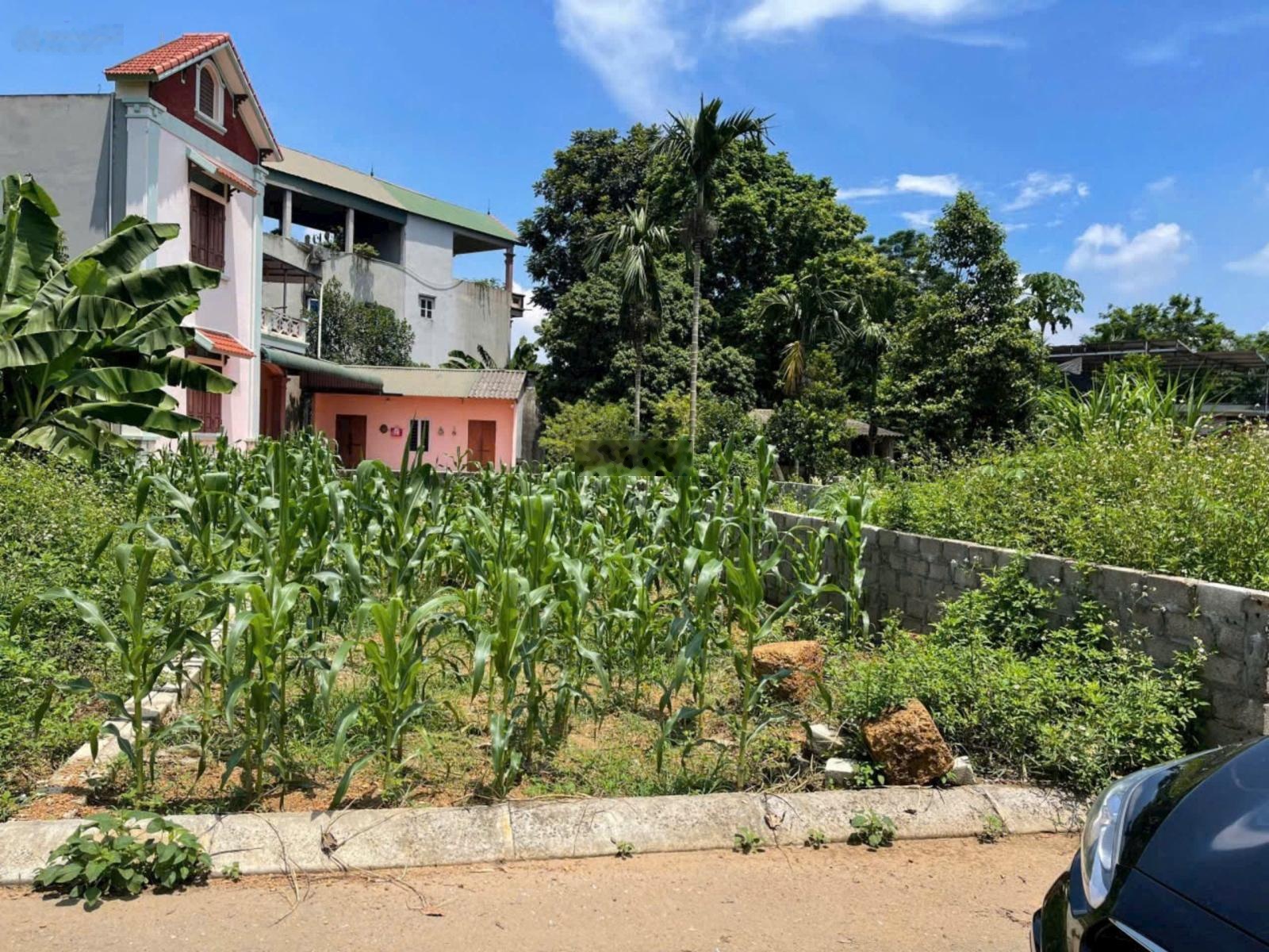 Chính chủ bán đất Thạch Thất thôn Cánh Chủ, xã Bình Yên diện tích 85,3m² giá 3,5 tỷ