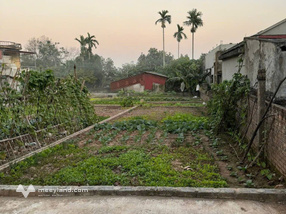 Đất thổ cư 76m2 vuông vắn tại Từ Đài, Duy Tiên, Hà Nam