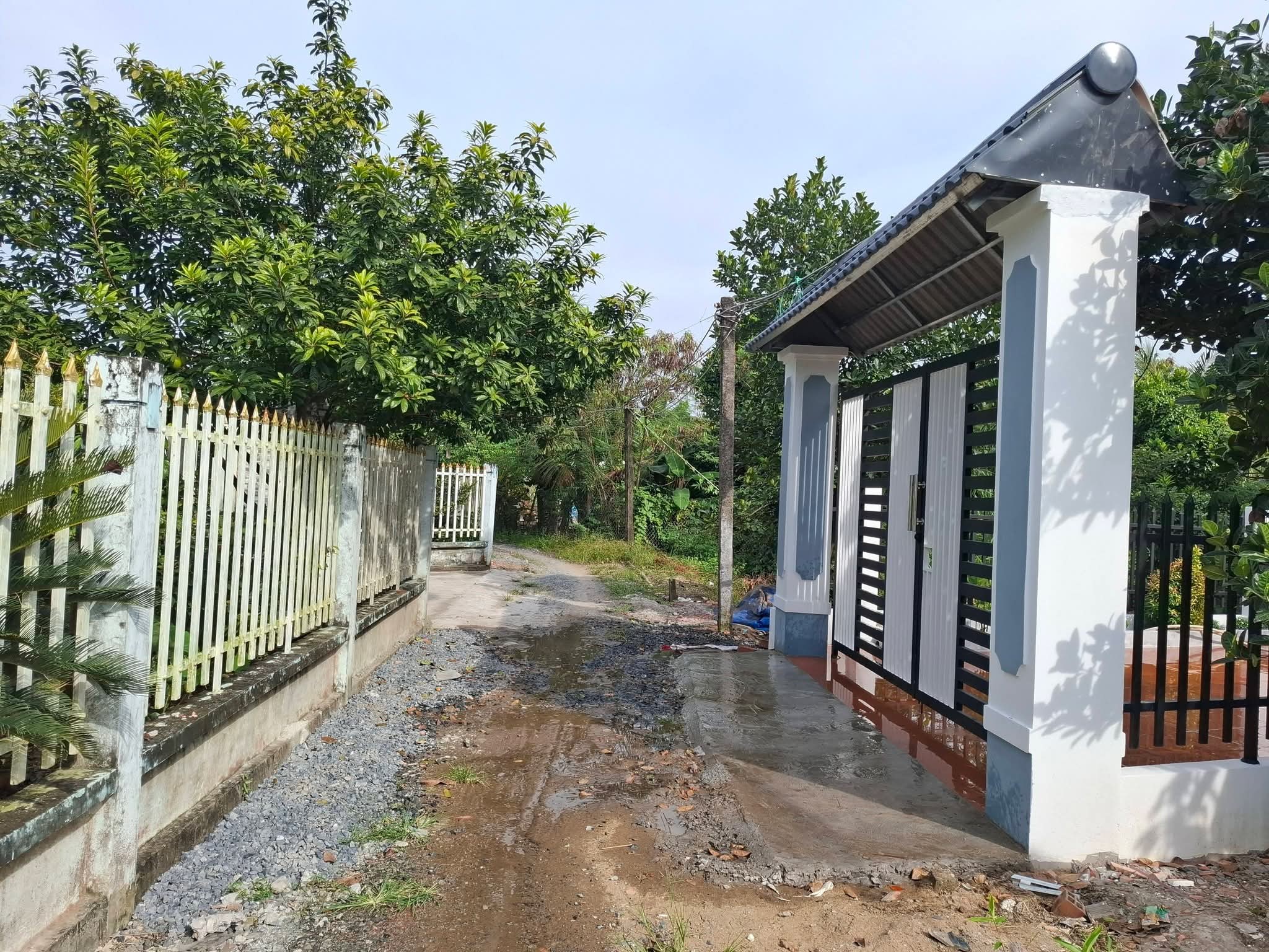 Bán nhà mới xây 100% tại Vĩnh Xuân B, Dương Xuân Hội, Châu Thành, Long An, cách đường tỉnh 879B 700m