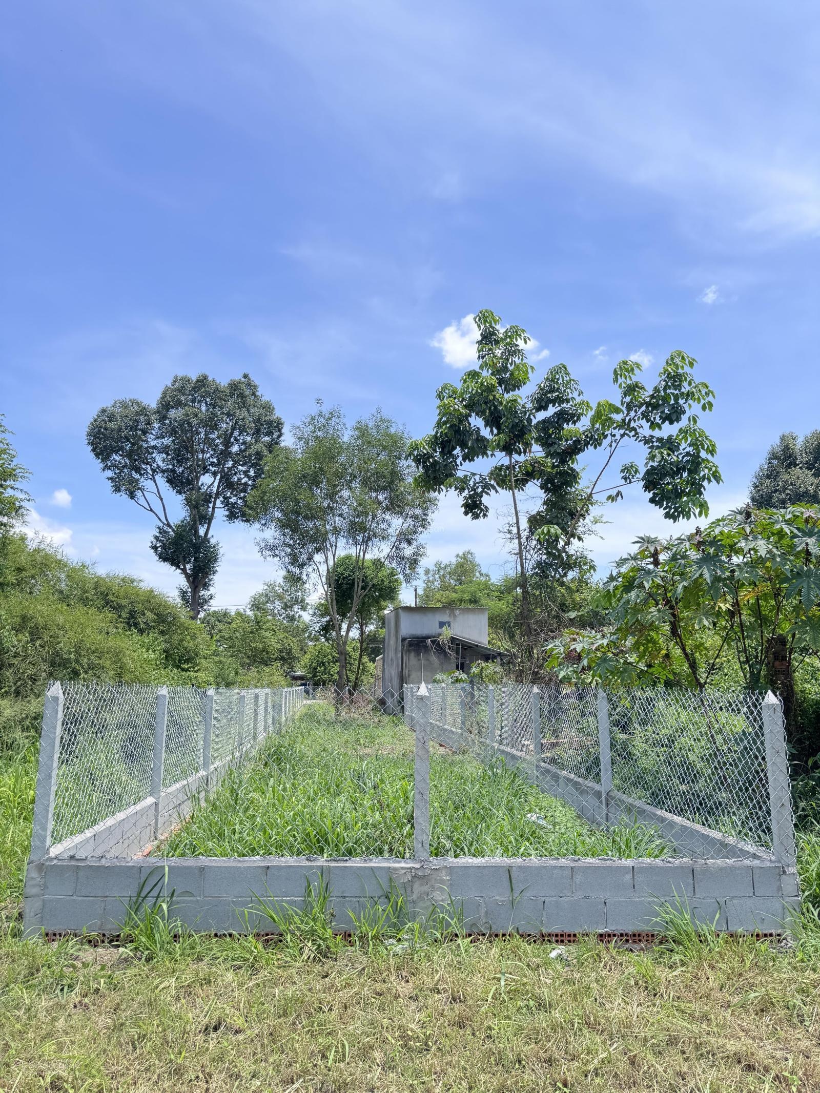 241,5m2(5x49m) full thổ, đất nở hậu làm nhà trọ, làm xưởng, setup nhà vườn