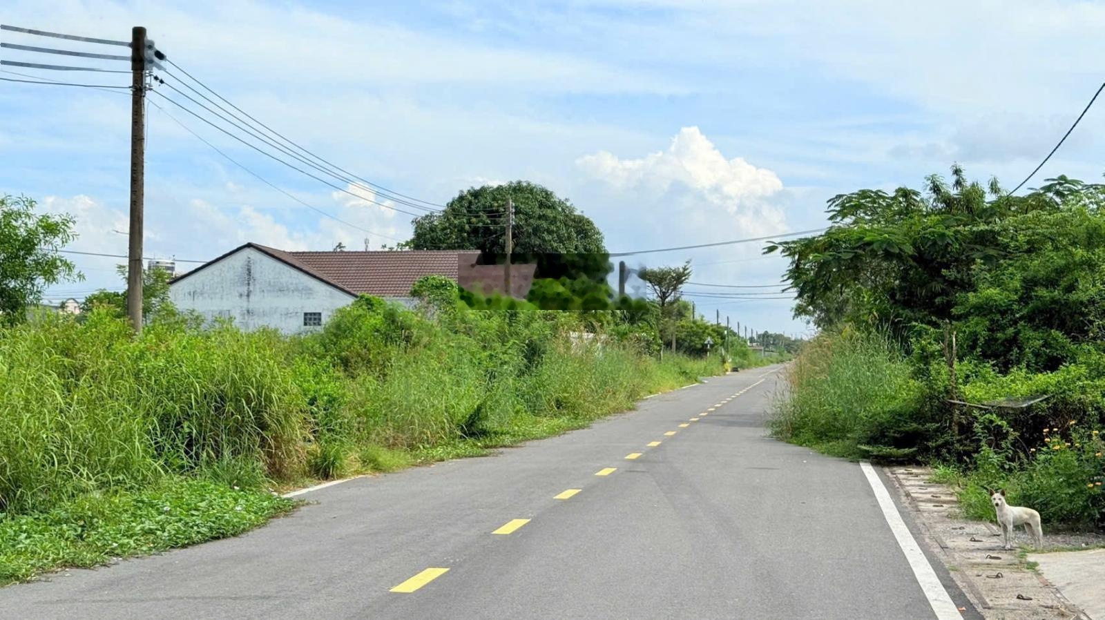 Bán đất làm nhà vườn nghỉ dưỡng, mặt tiền đường nhựa 6m, cách hồ Bà Tô 1.5 km