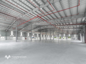 Cho thuê kho xưởng PCCC tự động DT từ 2000m2 đến 10000m2 tại Mỹ Hào - Hưng Yên