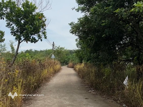 Bán 1000m2 đất vườn đẹp có suối sau lưng ô tô vào tận nơi