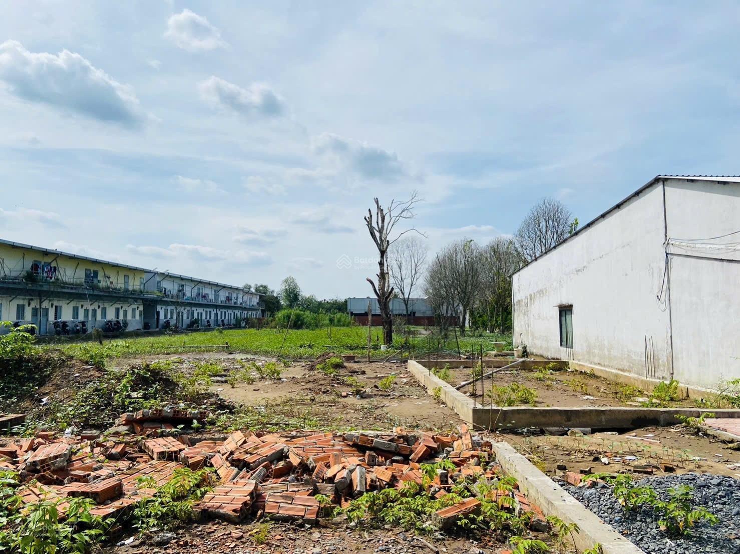 Cho thuê 3.000m2 đất mặt tiền đường Vườn Mận, KV Bình Thường B, Phường Long Tuyền, TP Cần Thơ