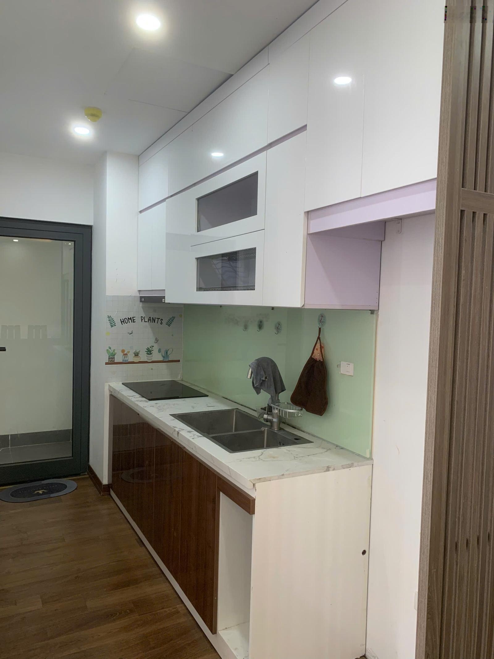 Cho thuê CC Geleximco Southern Star 897 Giải Phóng, 11 triệu, 62 m2, 2PN, Hoàng Mai, Hà Nội