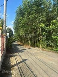 Lô đất 300m² ngay đường Lò Gạch