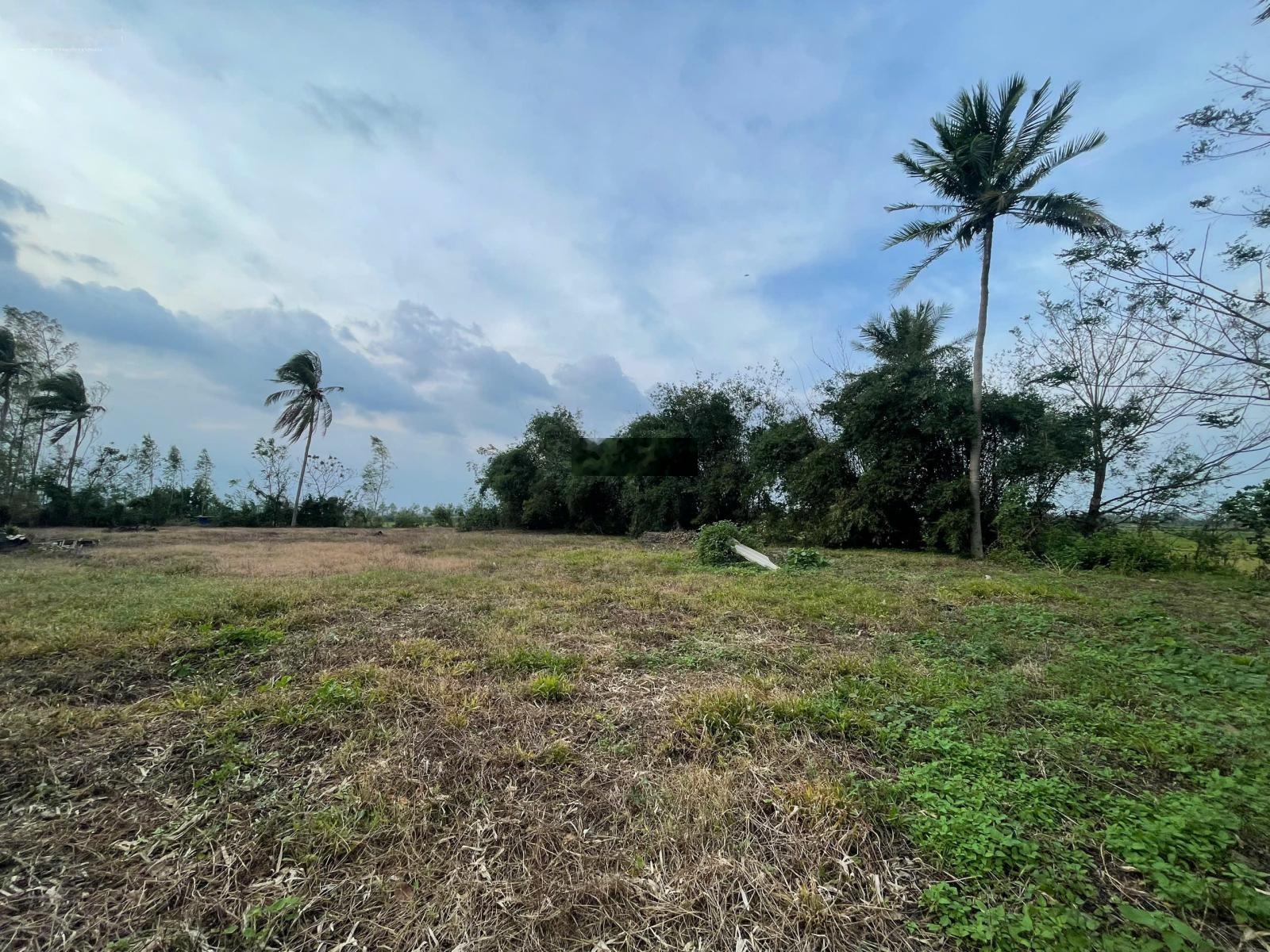 Cần bán 4514,7m2 đất mặt tiền Quốc lộ 19, (xã Tây Xuân cũ), Huyện Tây Sơn, Bình Định