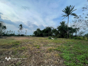 Cần bán 4514,7m2 đất mặt tiền Quốc lộ 19, (xã Tây Xuân cũ), Huyện Tây Sơn, Bình Định