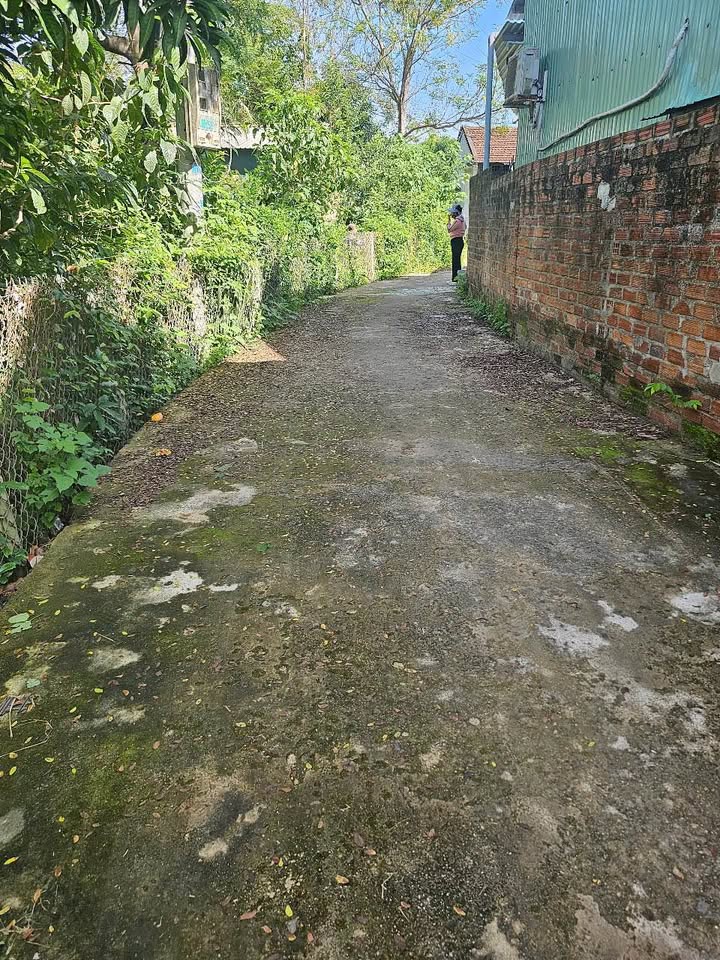 3 Lô đất Cù Lâm siêu đẹp, cơ hội đầu tư sinh lời