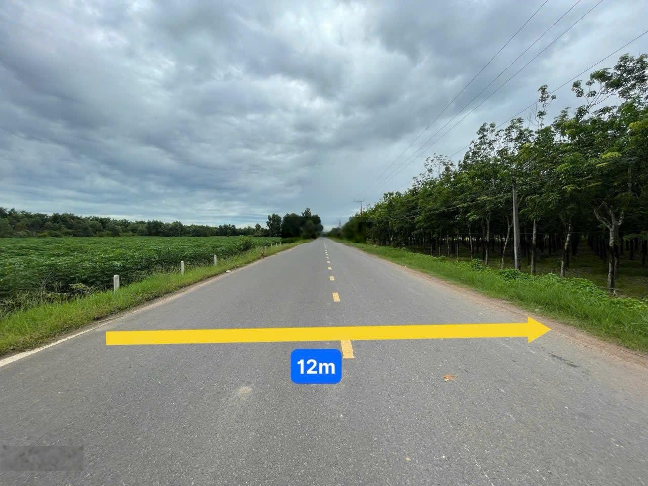 Đất 2400m2 ngang 60m mặt tiền đường ĐT 781 tại Xã Thành Long, Huyện Châu Thành, Tỉnh Tây Ninh