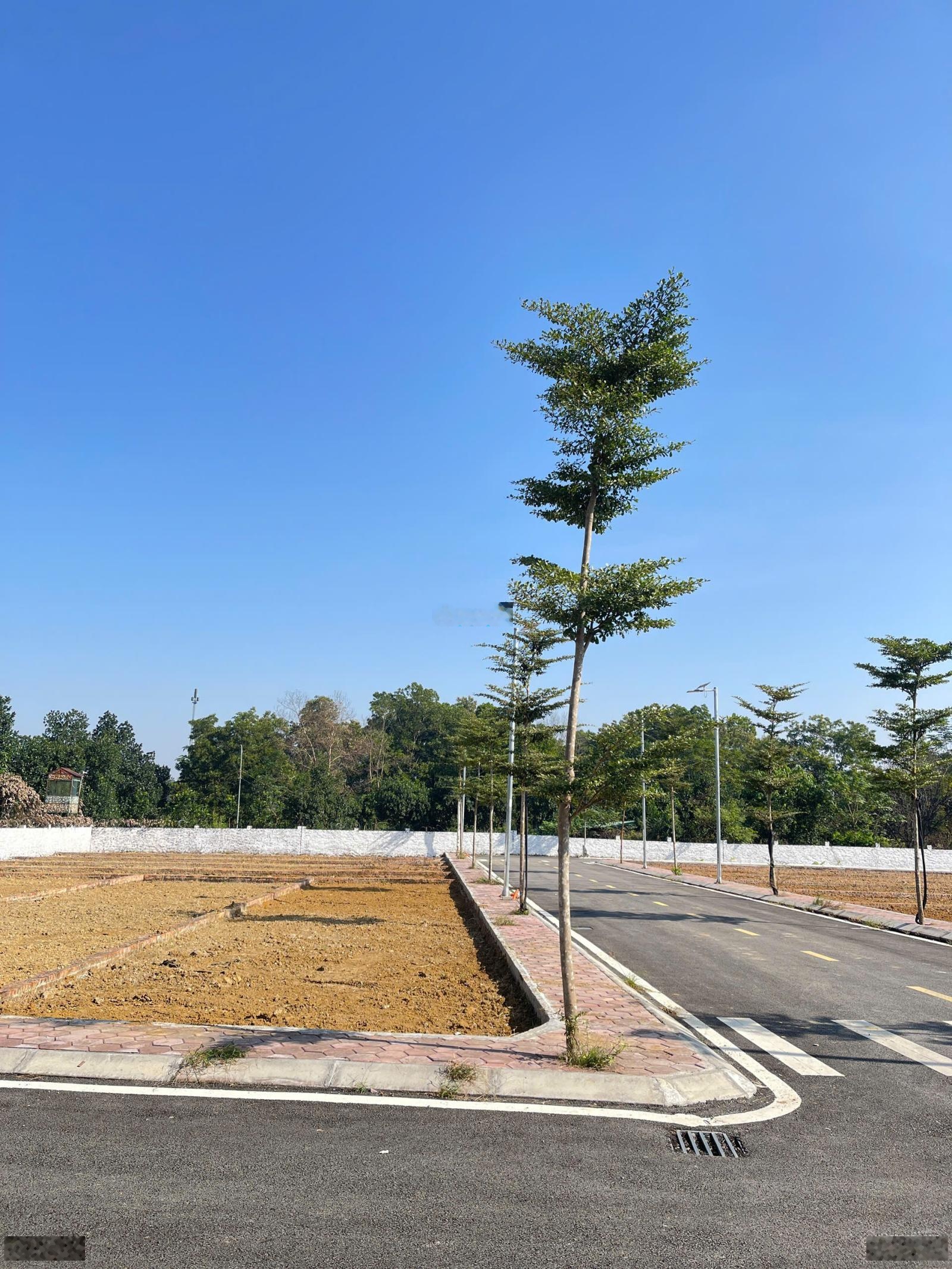 Bán đất 100m2 tại đường 446, Xã Phú Cát, Quốc Oai, Hà Nội, giá tốt 4,5 tỷ