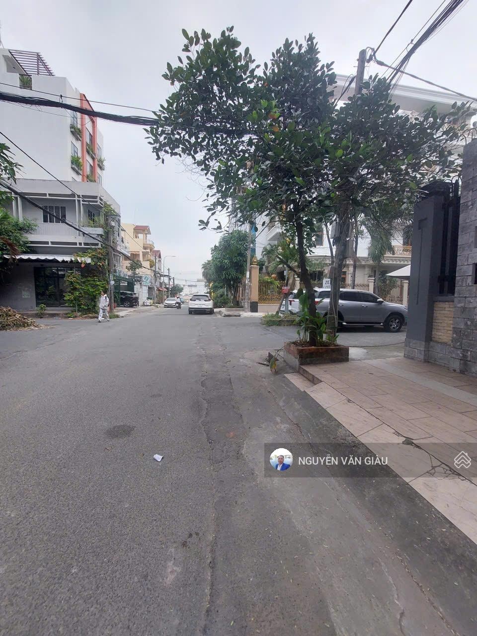 ảnh