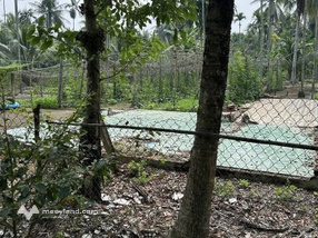 Bến Tre, cặp nền đất vuông vắn, sẵn sàng xây tổ ấm