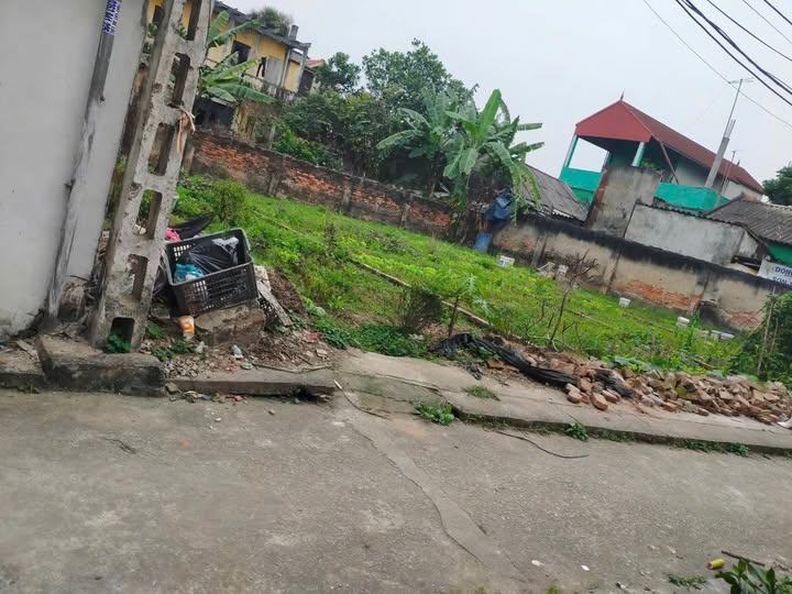 Đất vàng Thường Tín mặt tiền hút lộc, ngập tràn tiện ích